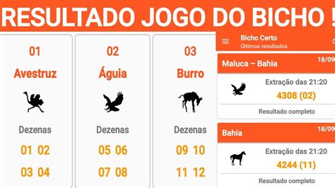 resultado do jogo de bicho das 15 horas - resultado das 14h de hoje